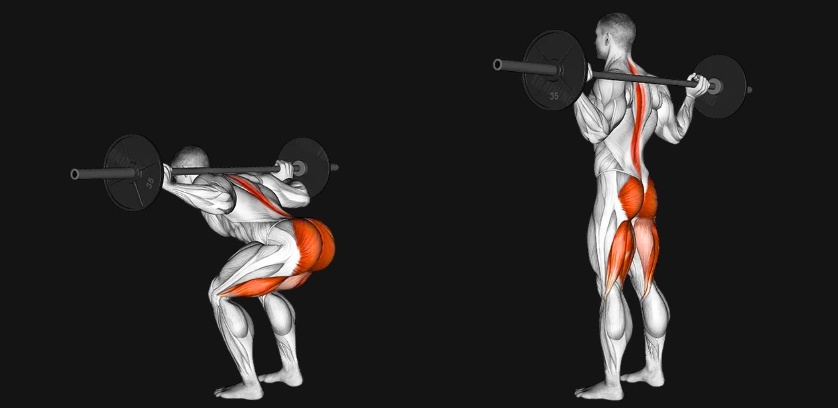 Barbell Good Morning: Strengthen Your Posterior Chain Safely and Effectively