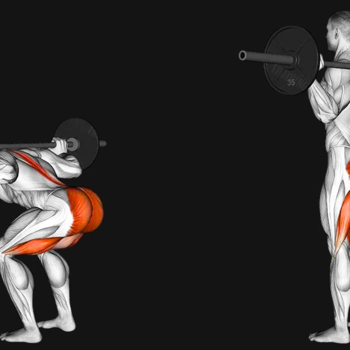 Barbell Good Morning: Strengthen Your Posterior Chain Safely and Effectively