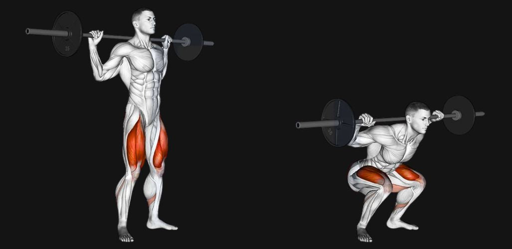 Barbell Squat: Master the King of Leg Exercises