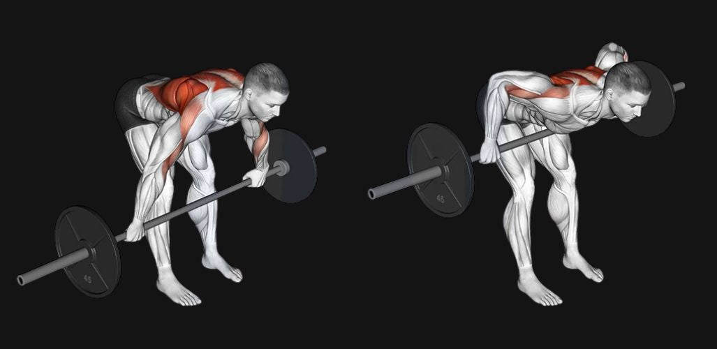 Bent Over Barbell Row: Build a Stronger, Thicker Back with Perfect Form