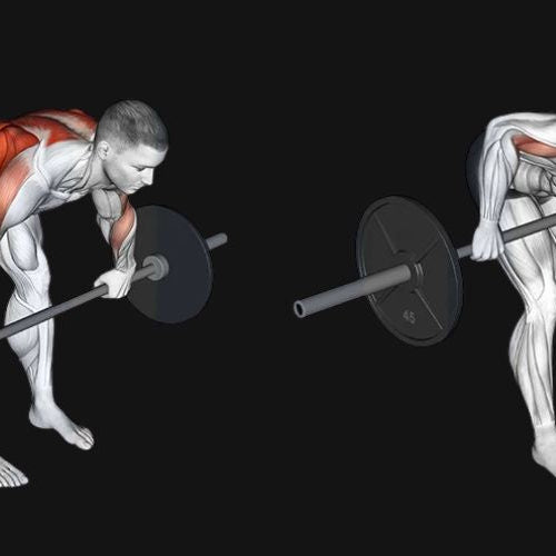 Barbell Romanian Deadlift: Form, Muscles Worked & Benefits