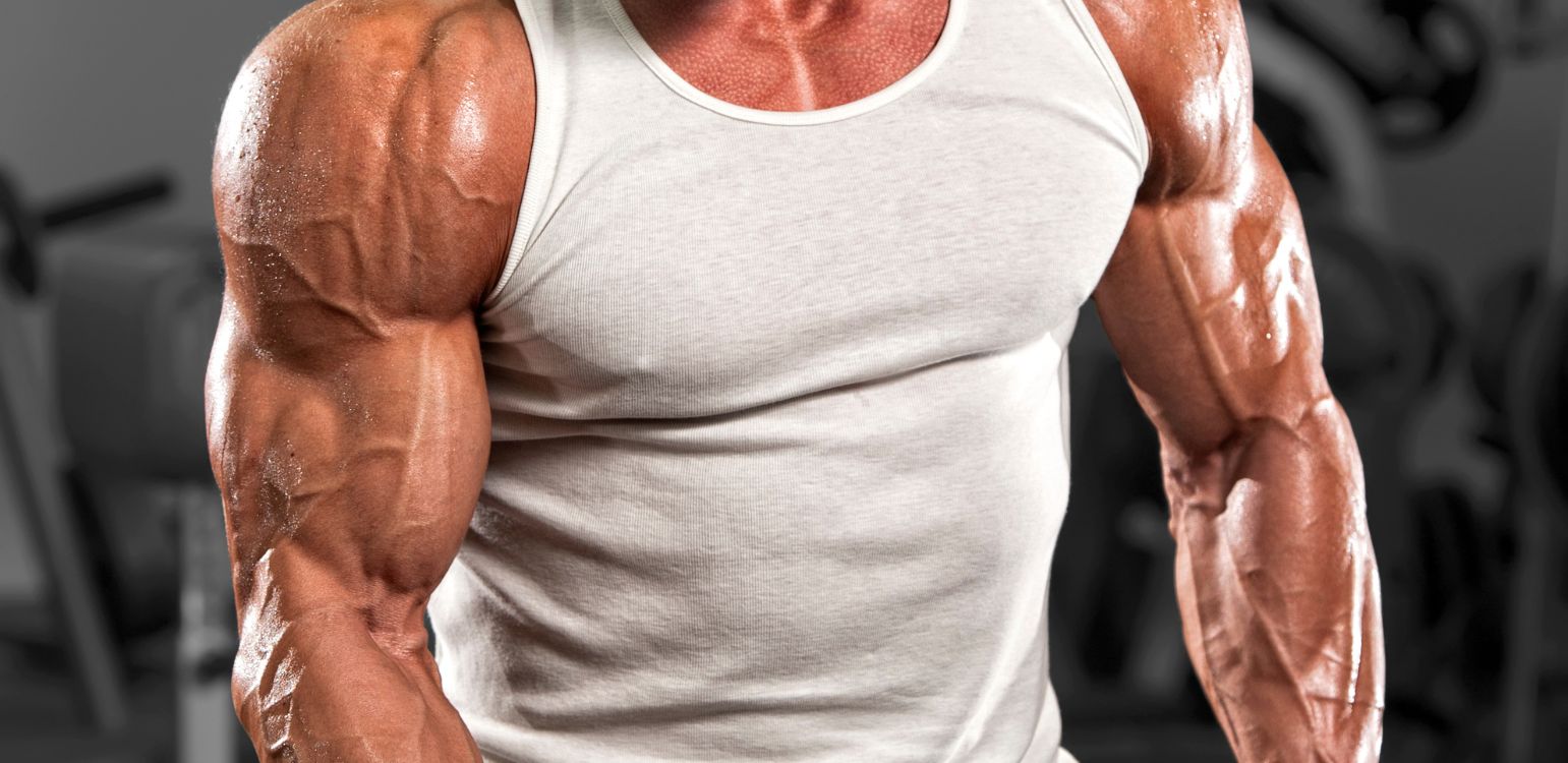 Biceps Workout with Dumbbells: Best Moves for Bigger, Stronger Arms