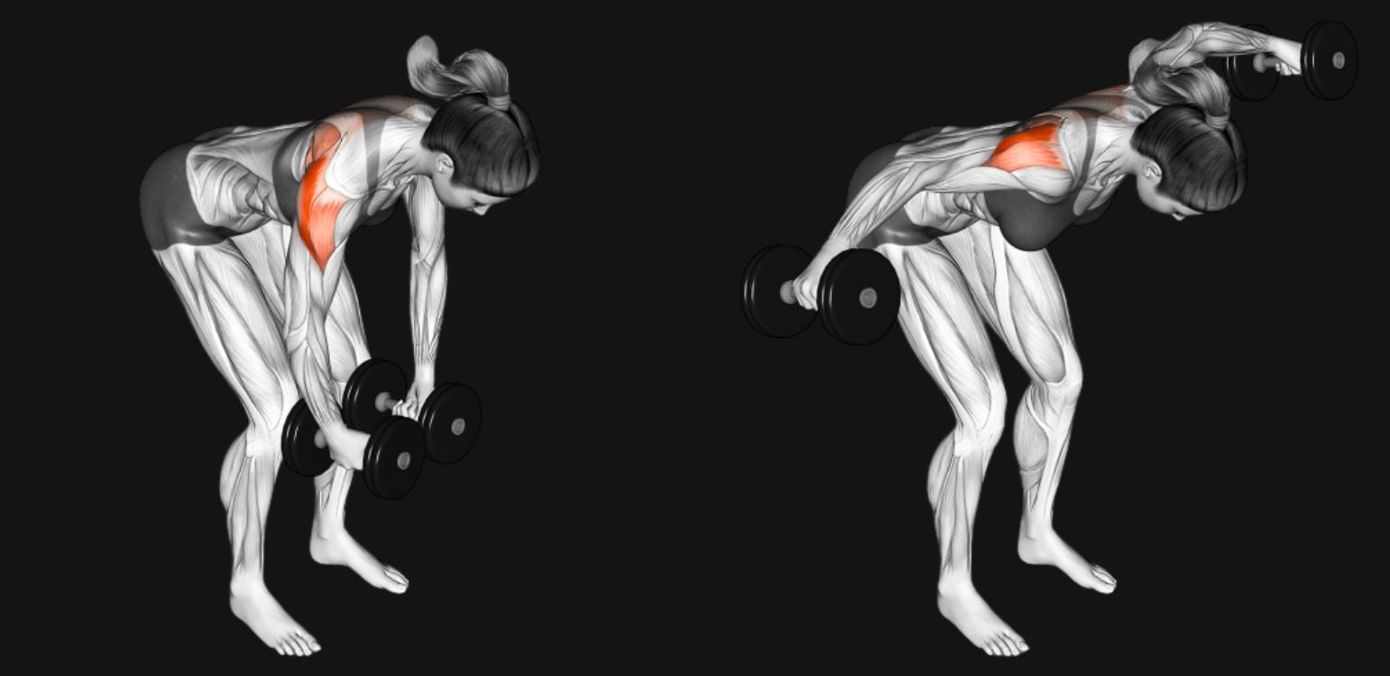 Dumbbell Rear Delt Fly: Build Stronger, Balanced Shoulders