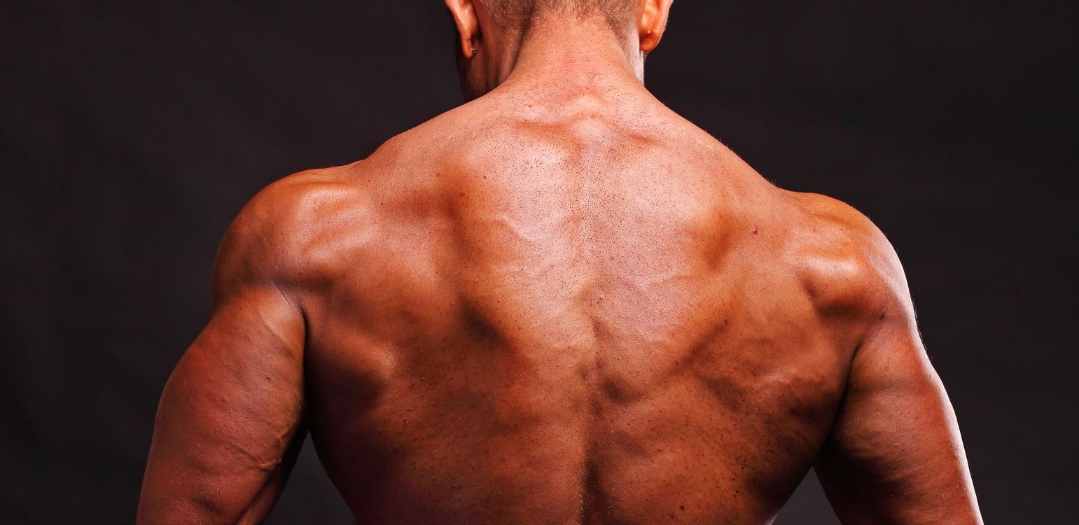 Dumbbell Shoulder Exercises: Best Moves for Strength & Size