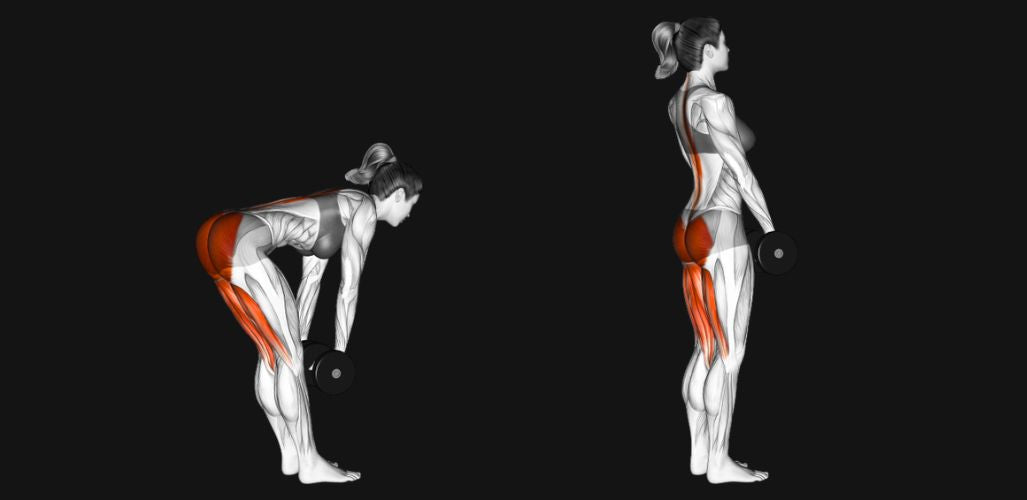 Dumbbell Stiff Leg Deadlift: Strengthen Your Hamstrings and Posterior Chain