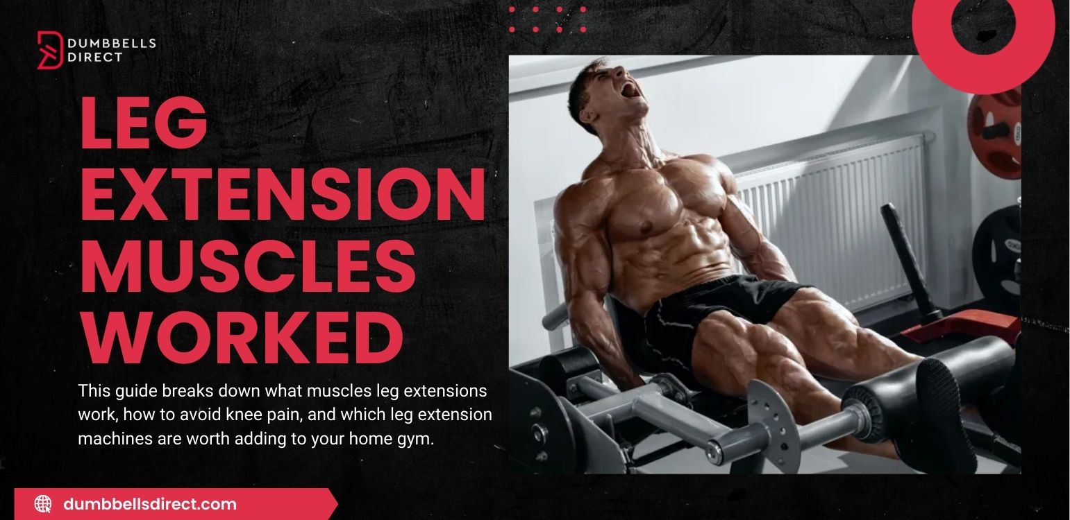 Leg Extension Muscles Worked: Benefits, Risks, and Best Machines