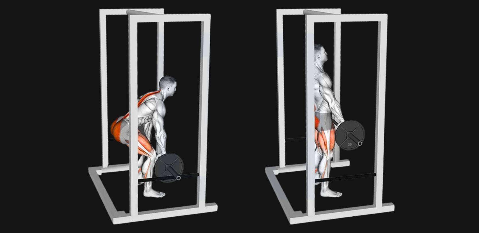Rack Pulls: Build Brutal Back Strength, Lockout Power & Posterior Chain Dominance