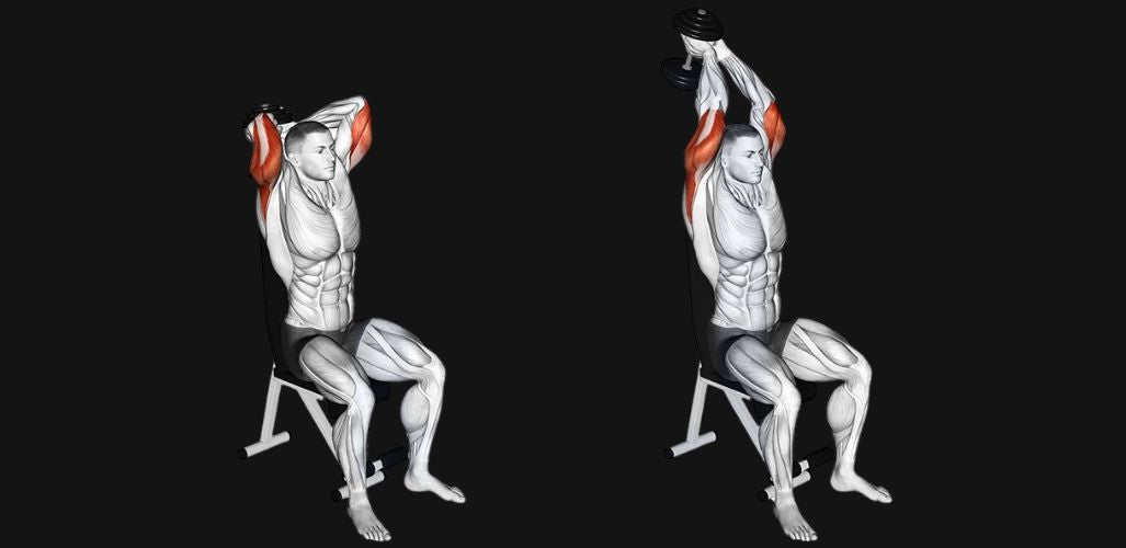 Seated Tricep Press: Build Strong, Defined Arms with Dumbbells