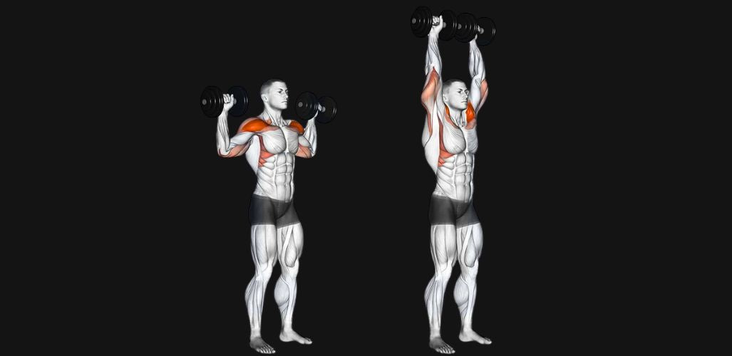 Standing Dumbbell Shoulder Press: Build Strength, Size & Stability Overhead