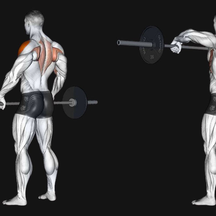 Barbell Good Morning: Strengthen Your Posterior Chain Safely and Effectively