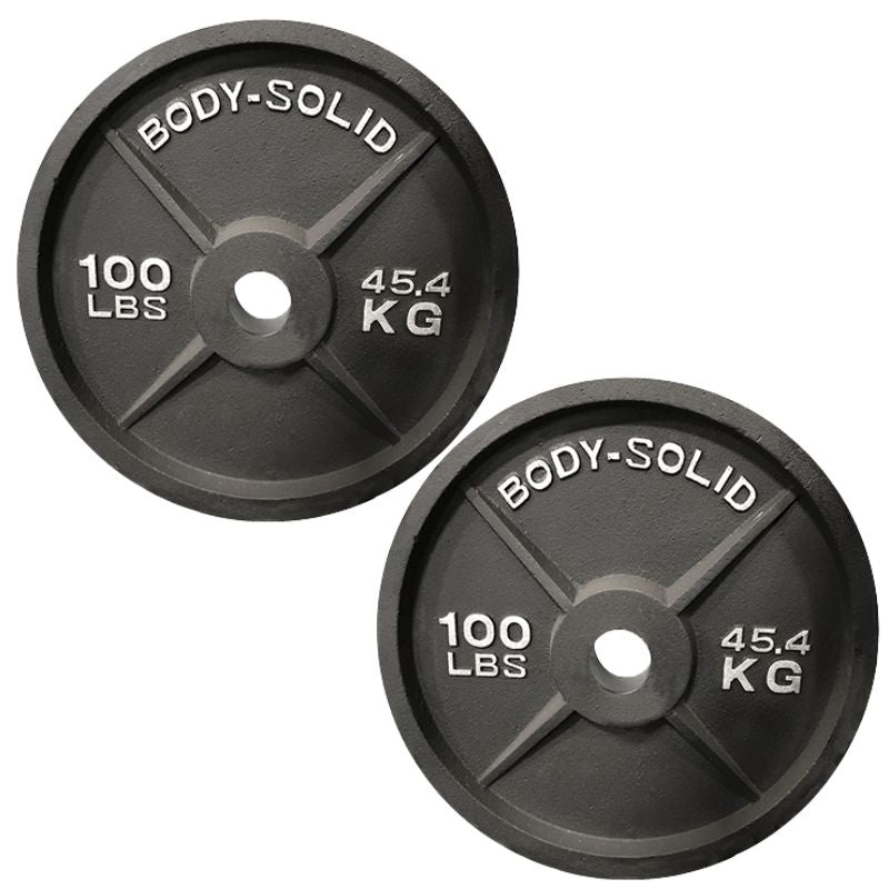Body Solid Cast Iron Olympic Plates  100 lb cast iron olympic plate Pair