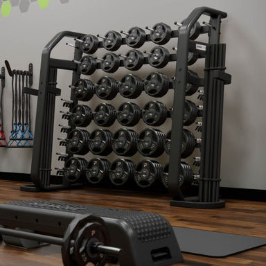 Power Systems Denali Series Barbell Plate Rack with Plates Set inside Gym