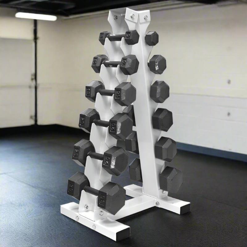 VERTPAC-IHD30 USA  by Troy 6-Pair Iron Hex Dumbbells with A-Frame Rack