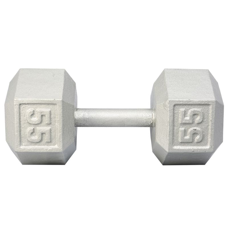 YORK Barbell Cast Iron Hex Dumbbell Set 55 lb Dumbbell