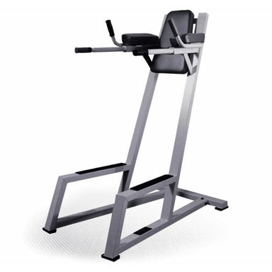 YORK Barbell Vertical Knee Raise (VKR) with Dip Silver