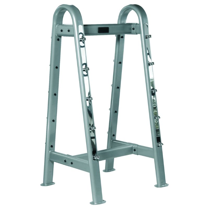 YORK Barbell ETS Fixed Straight And Curl Barbell Rack - 69051 Empty Barbell Rack