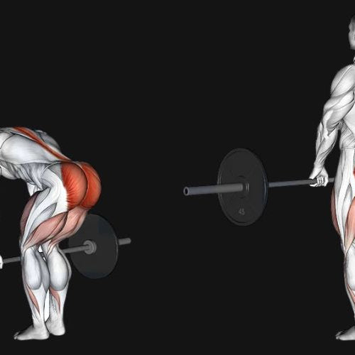 Barbell Deadlift: Technique, Muscles Worked & Variations