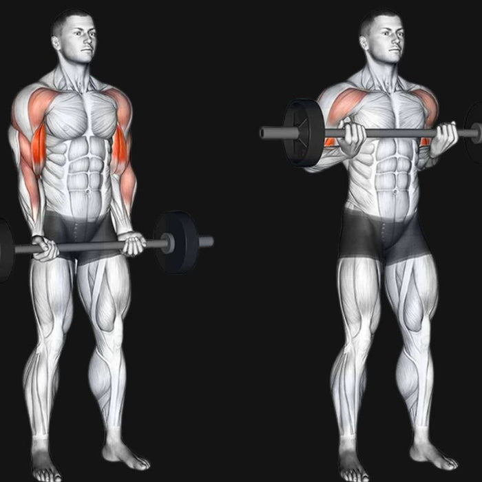 Barbell Drag Curl_ Elevate Your Biceps with Smart Technique & Peak Activation