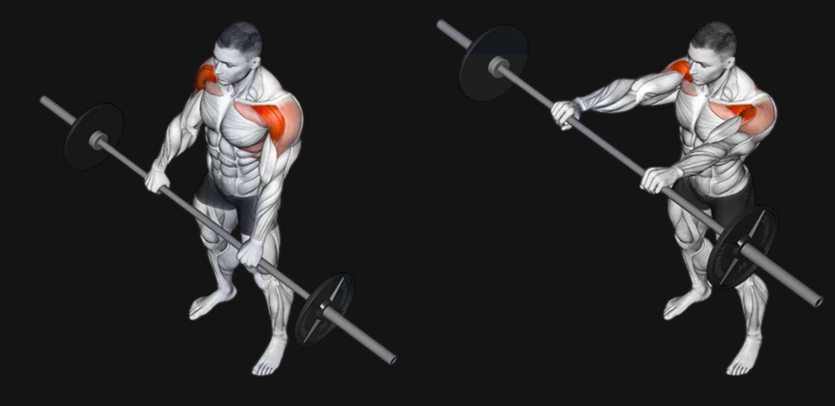 Barbell Front Raise: Sculpt Your Front Delts & Shoulder Strength with Precision