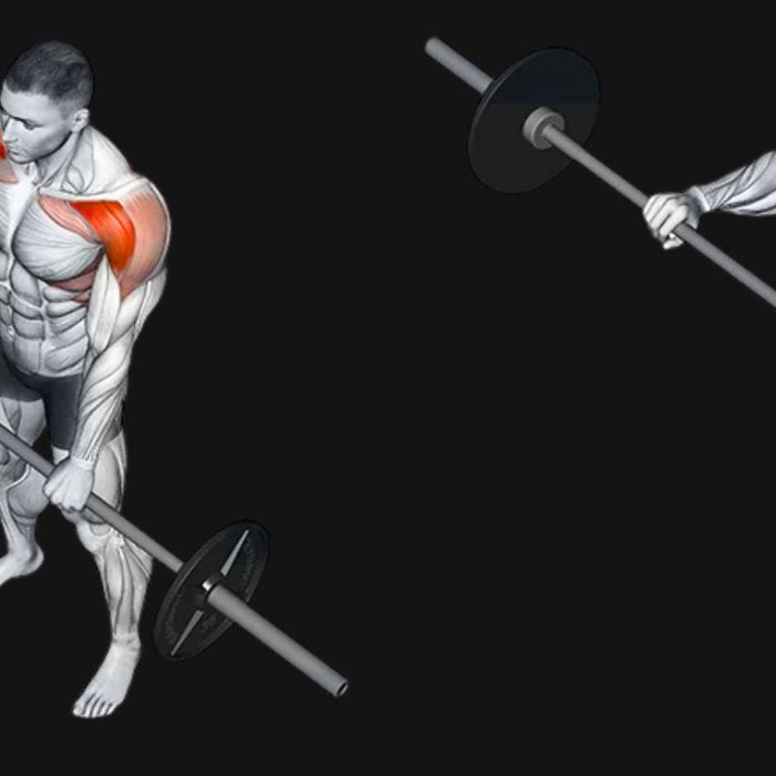 Barbell Front Raise: Sculpt Your Front Delts & Shoulder Strength with Precision