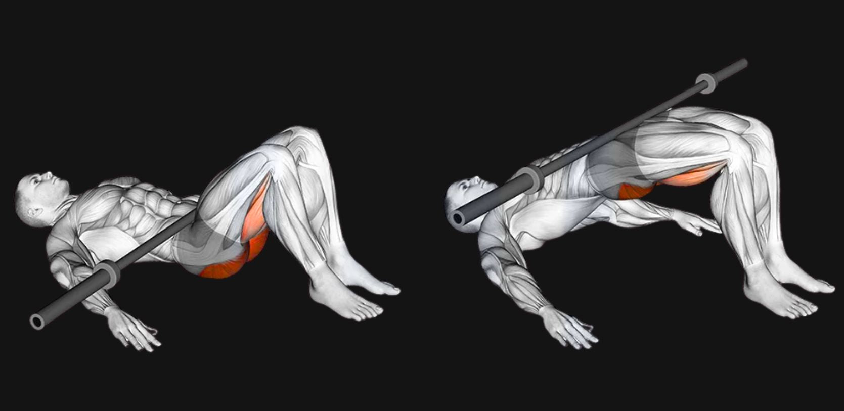 Barbell Glute Bridge: Build Stronger Glutes, Powerful Hips & Total Lower-Body Strength