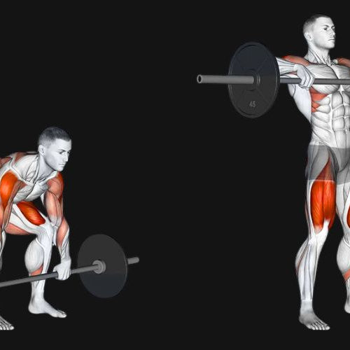 Barbell High Pull Exercise - Dumbbells Direct Guide