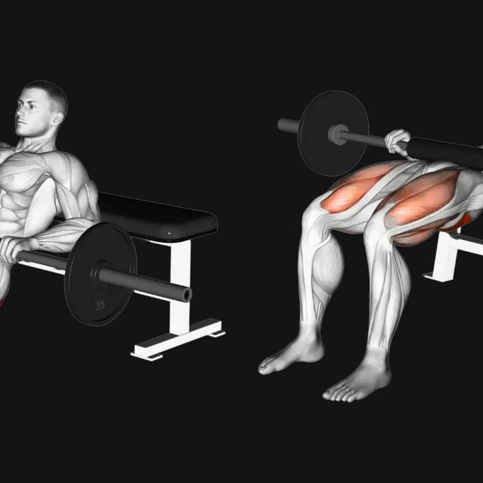 Barbell Hip Thrust: Build Stronger Glutes & Power Up Your Lower Body