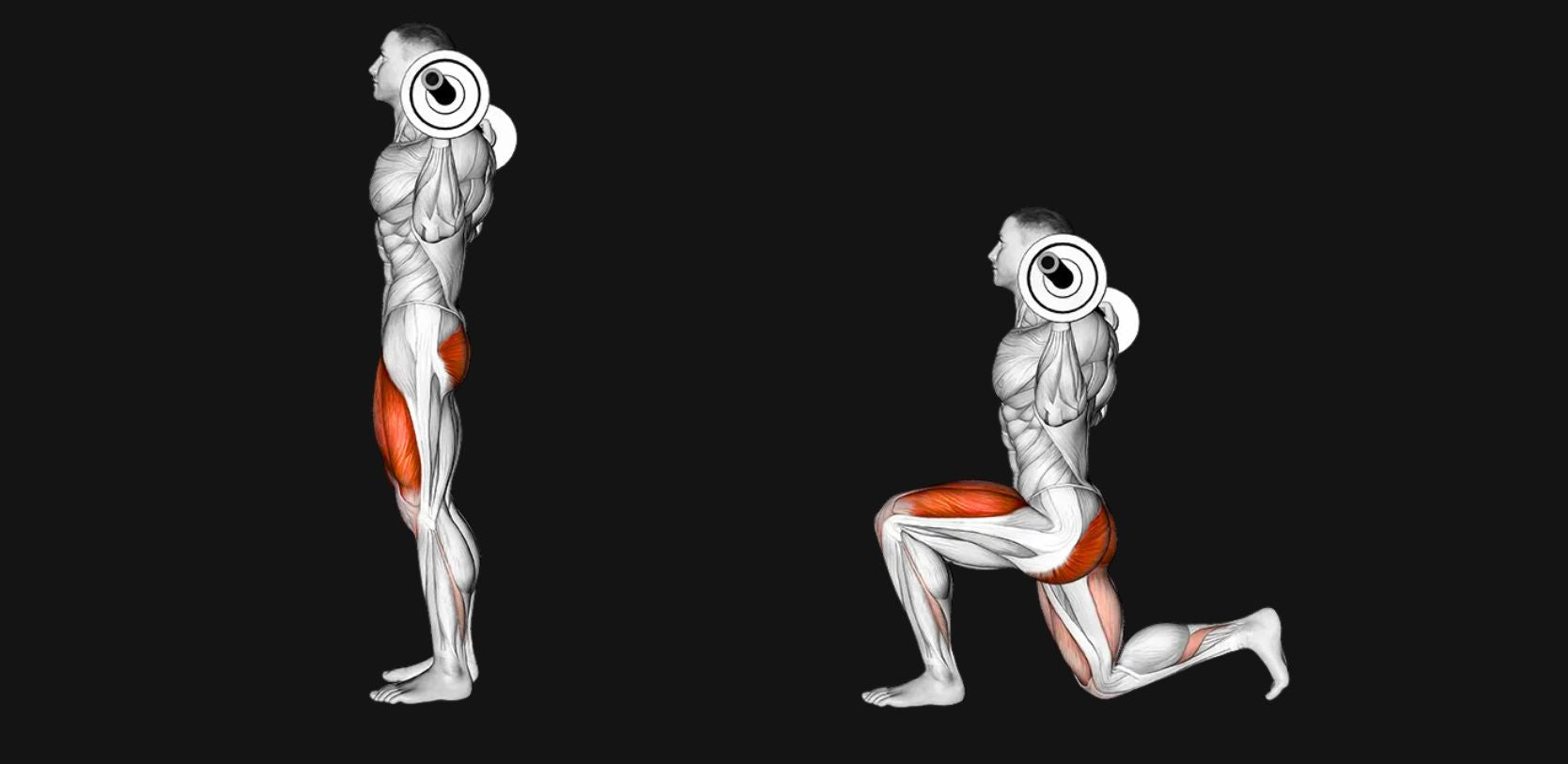 Barbell Lunge: Develop Power, Balance & Stronger Legs