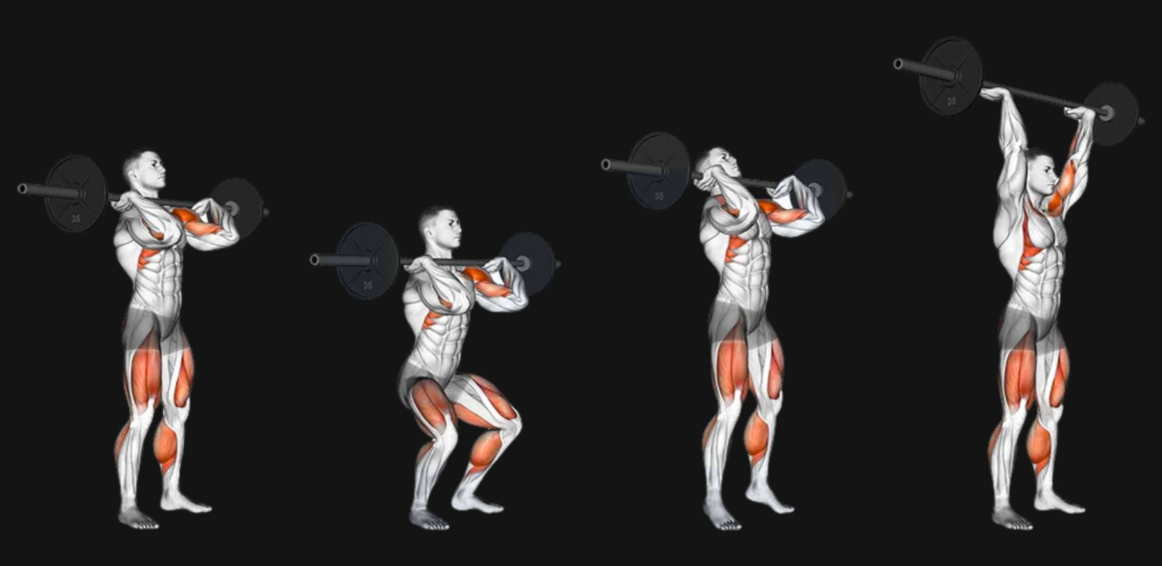 Barbell Push Press: Unleash Overhead Power & Total-Body Strength