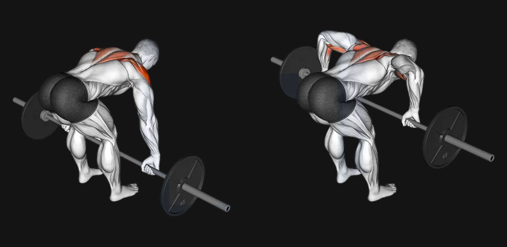 Barbell Rear Delt Row: Rear-Delt Thickness, Shoulder Balance & Stronger Upper-Back