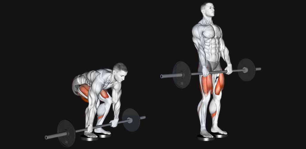 Barbell Romanian Deadlift: Form, Muscles Worked & Benefits