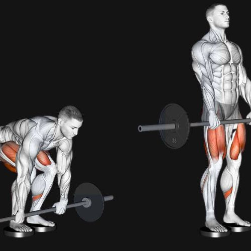 Barbell Romanian Deadlift: Form, Muscles Worked & Benefits
