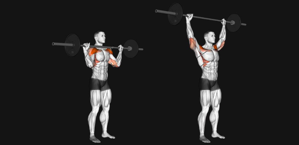 Barbell Shoulder Press: Power, Posture & Shoulder Strength