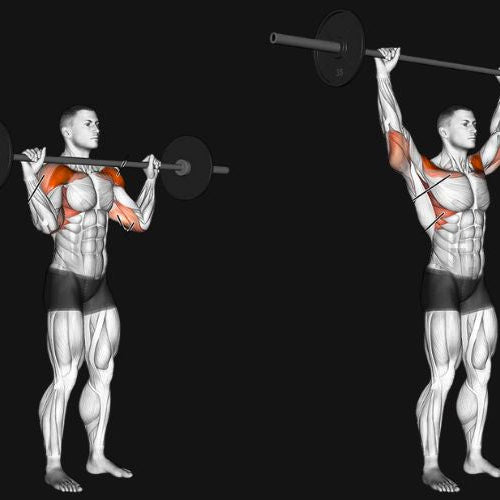 Barbell Shoulder Press: Power, Posture & Shoulder Strength