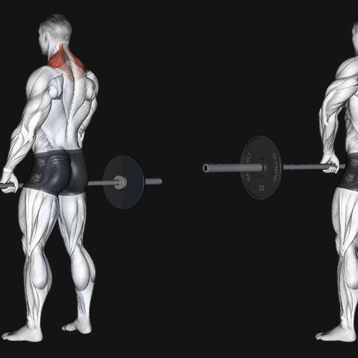 Barbell Shrugs_ Build Massive Traps & Unshakable Upper Back