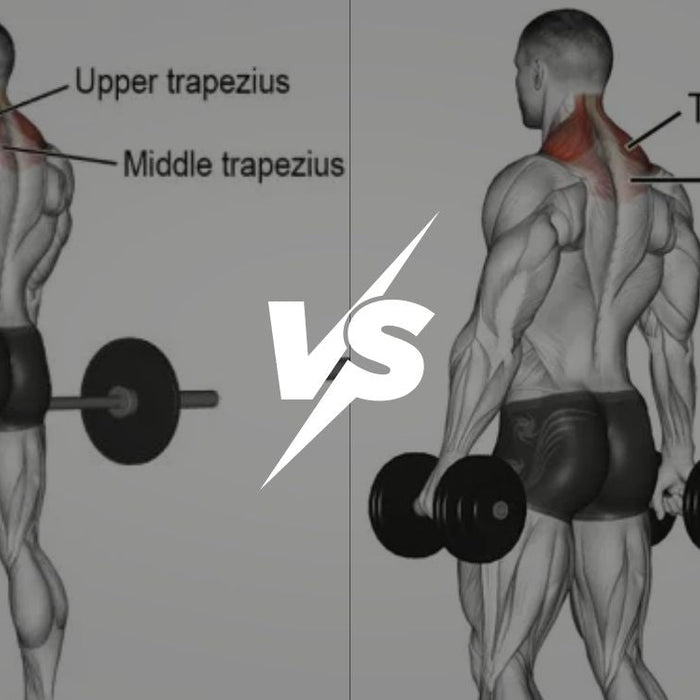 Barbell Shrugs vs Dumbbell Shrugs