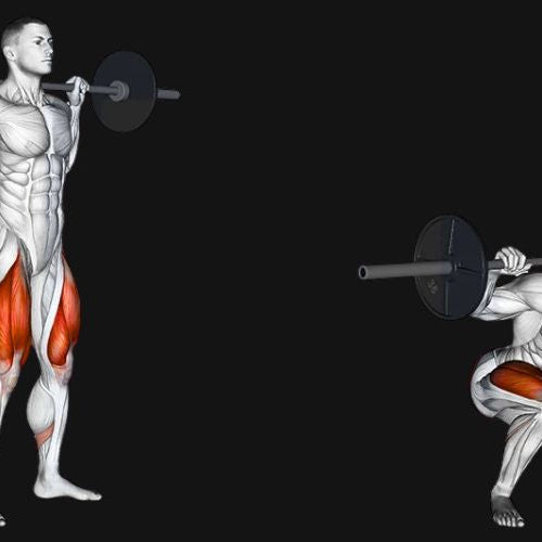 Barbell Squat: Master the King of Leg Exercises