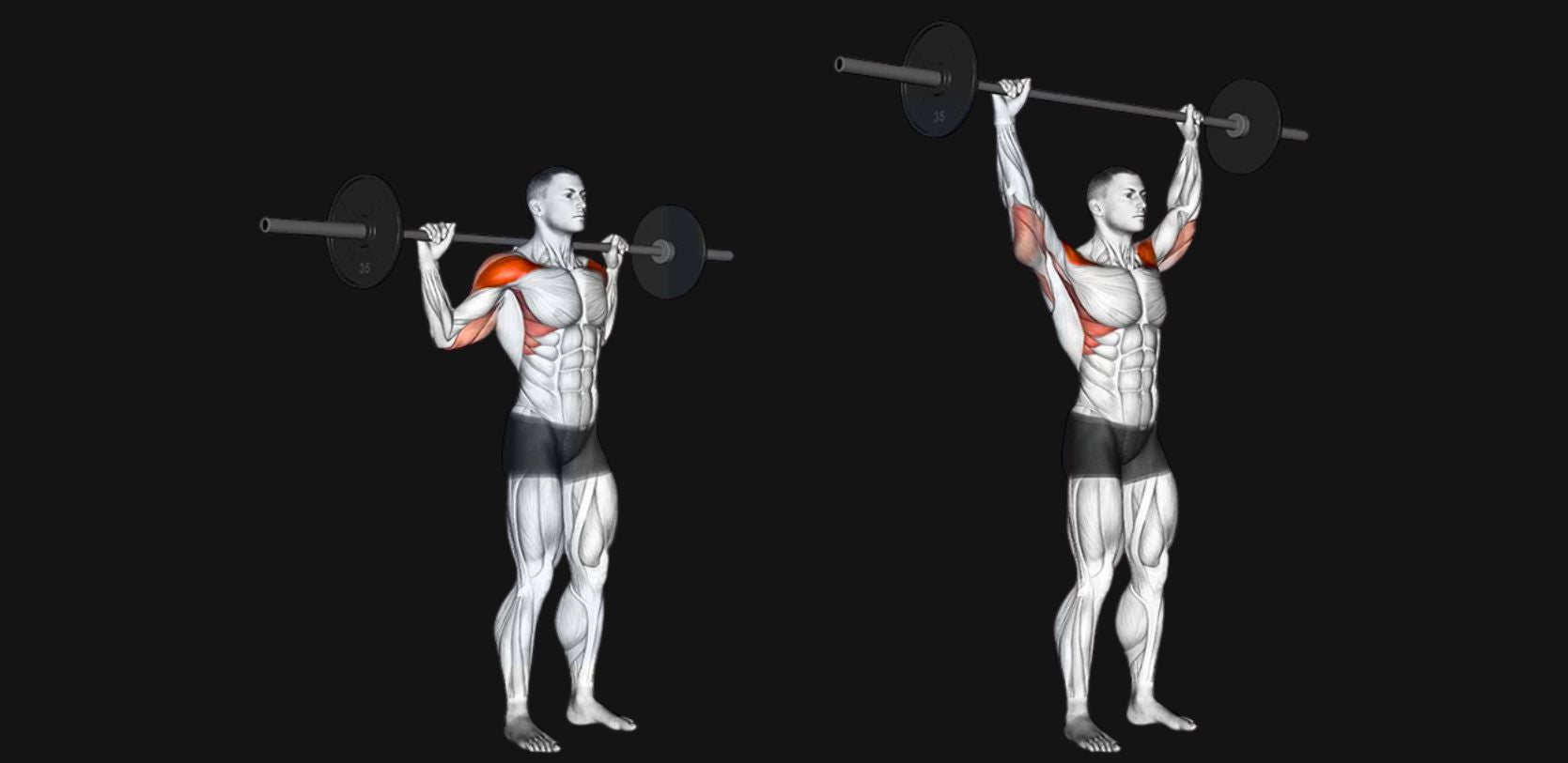 Behind the Neck Press: Delt Strength, Overhead Power & Shoulder Mobility