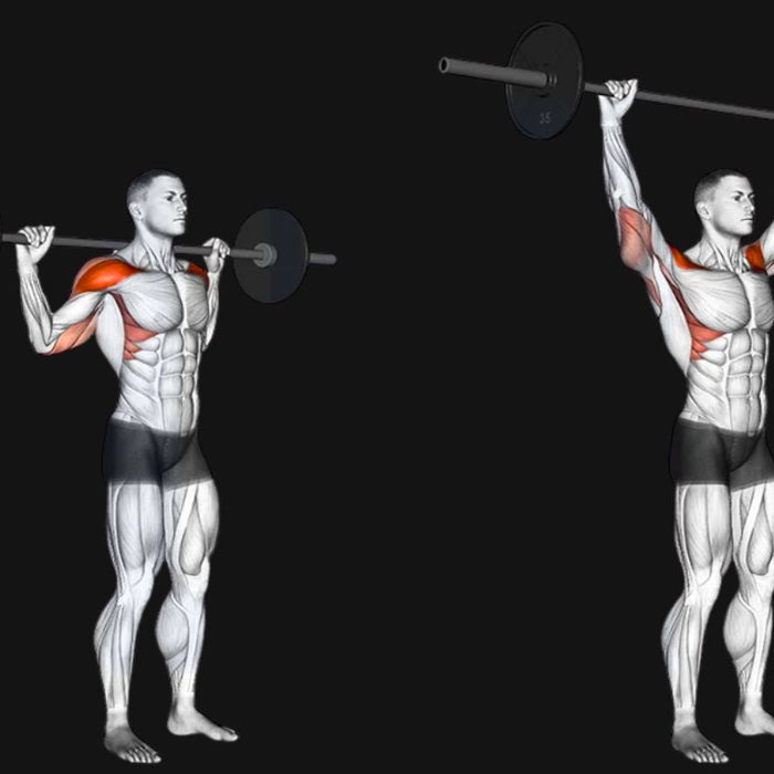 Behind the Neck Press Exercise - Dumbbells Direct Guide