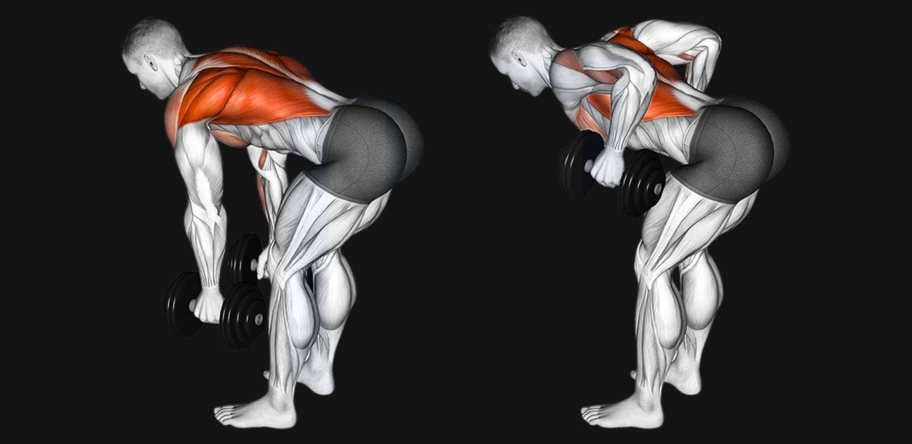 Bent Over Dumbbell Row: Build a Strong, Balanced Back β Dumbbells Direct