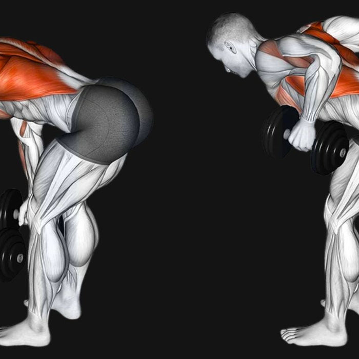 Bent Over Dumbbell Row_ Build a Strong, Balanced Back