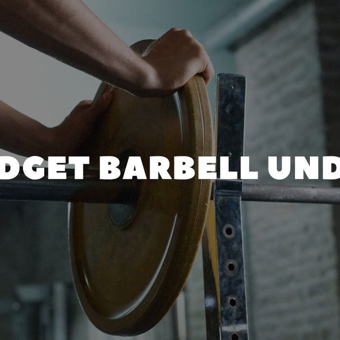 Best Budget Barbell Under $300 Dumbbells Direct Guide