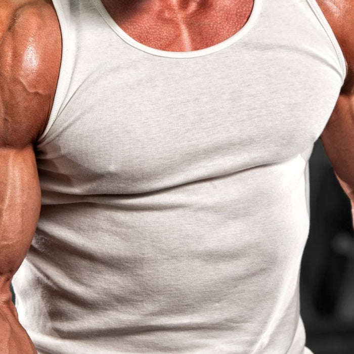 Biceps Workout with Dumbbells_ Best Moves for Bigger, Stronger Arms