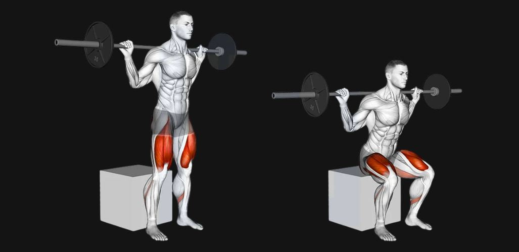 Box Squat: Stronger Glutes, Smarter Depth & Explosive Squat Power