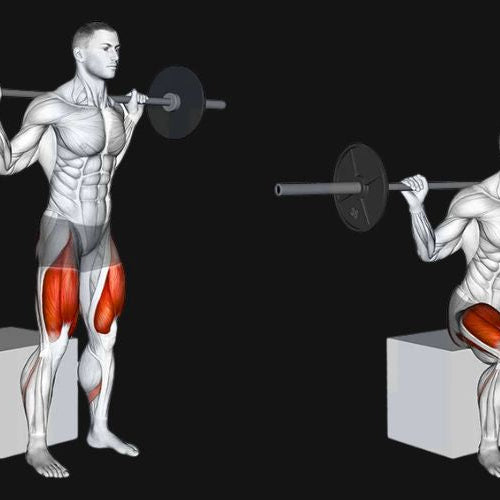 Box Squat: Stronger Glutes, Smarter Depth & Explosive Squat Power