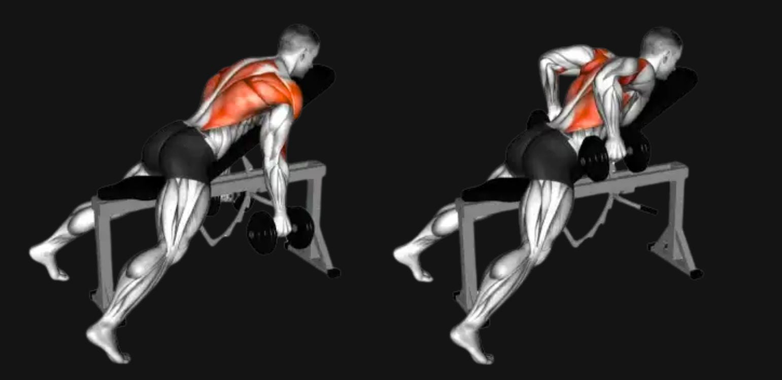 Chest Supported Dumbbell Row: Target Your Back Without Stressing Your Spine