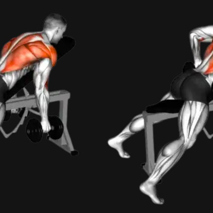 Chest Supported Dumbbell Row_ Target Your Back Without Stressing Your Spine