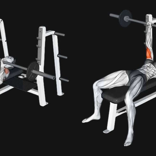Close-Grip Bench Press: Build Bigger Triceps & Stronger Pressing Power
