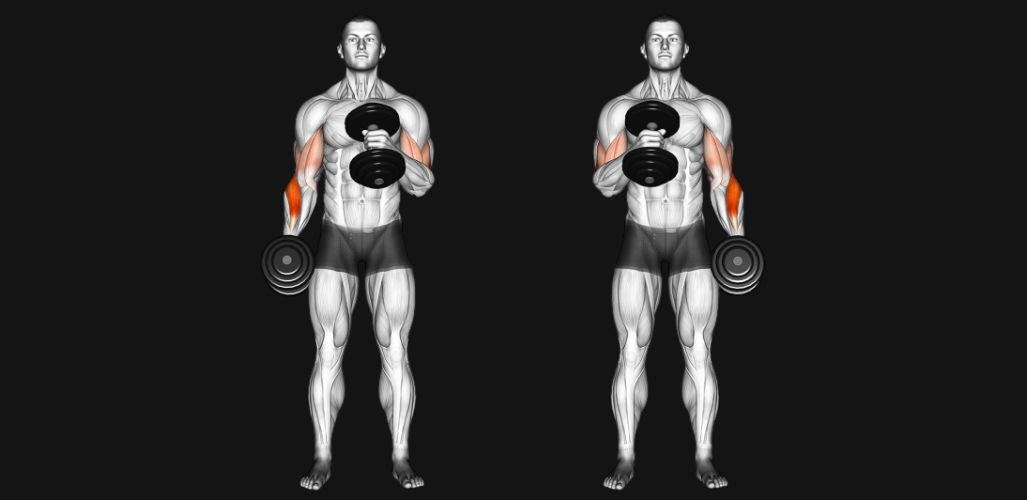 Cross Body Hammer Curl: Build Thick, Strong Arms with Every Rep