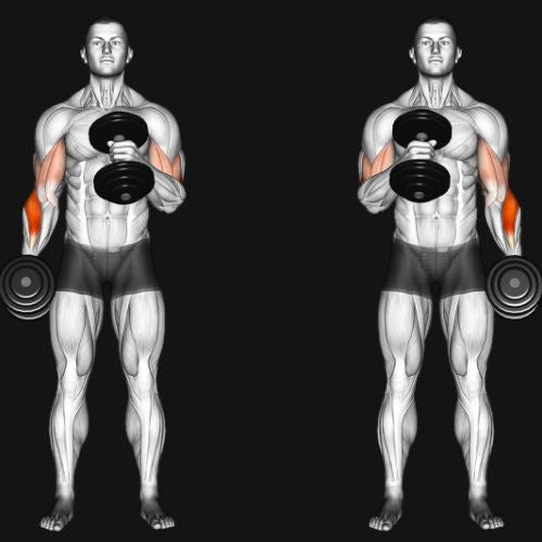 Cross Body Hammer Curl_ Build Thick, Strong Arms with Every Rep